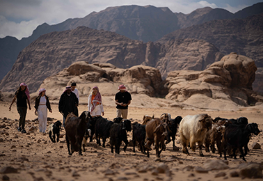 ~/Root_Storage/EN/EB_List_Page/Untitled-2_0014_an-excursion-with-a-bedouin-shepherd.png