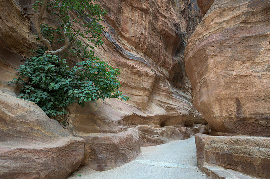 petra_gallery-0